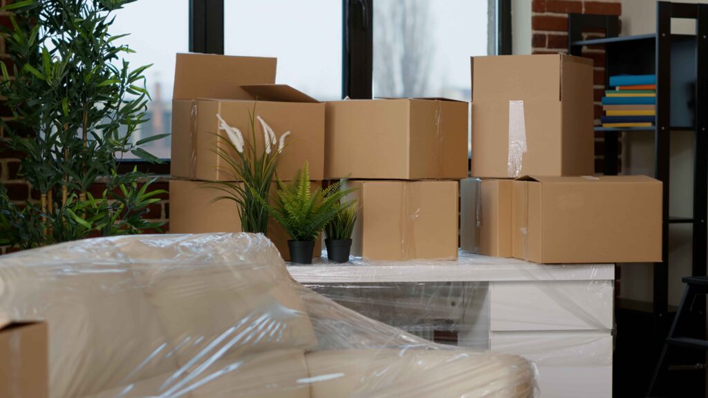 Packing Services in Pakistan