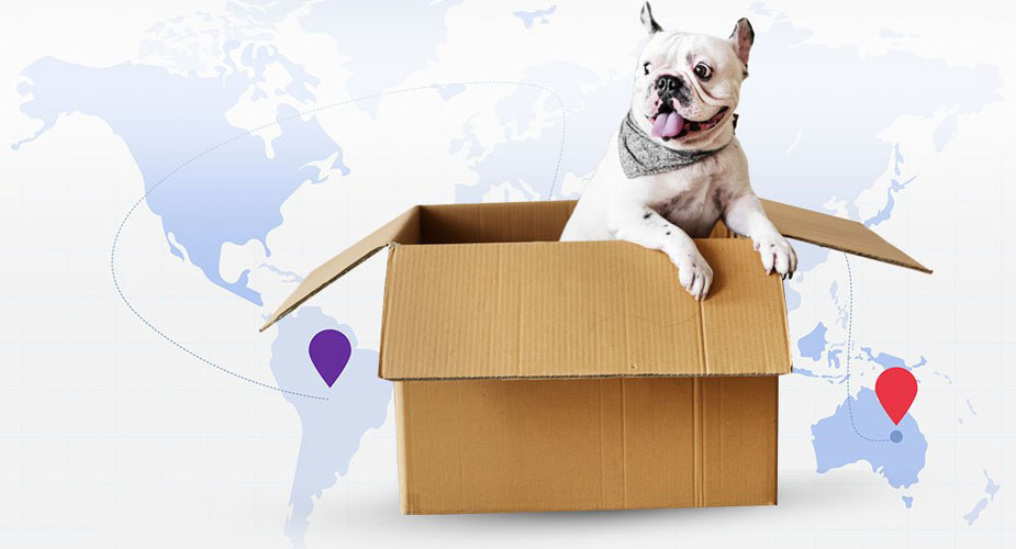 International Moving Services in Pakistan
