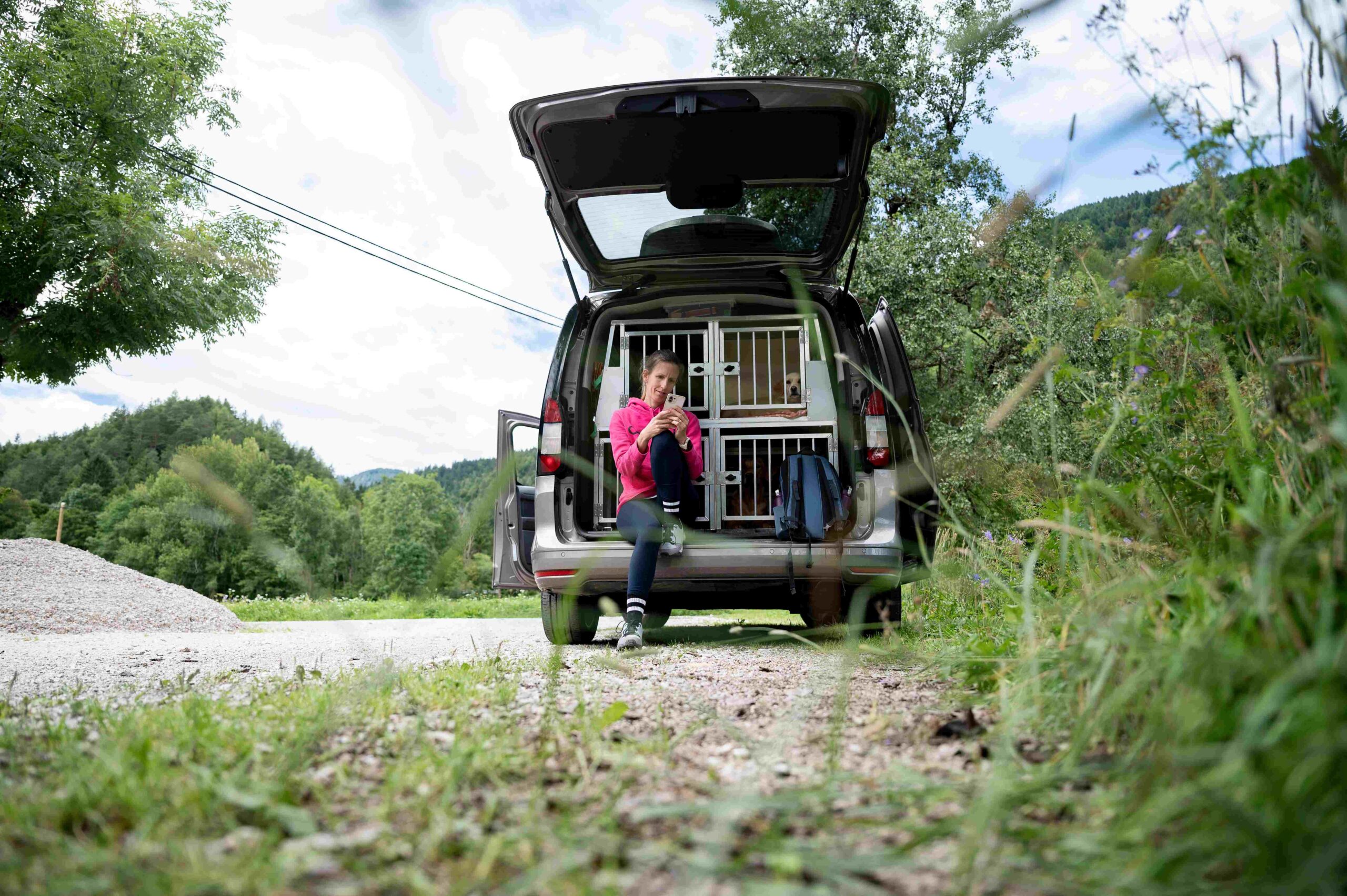 Animal Transport | Pet Relocation Services in Pakistan