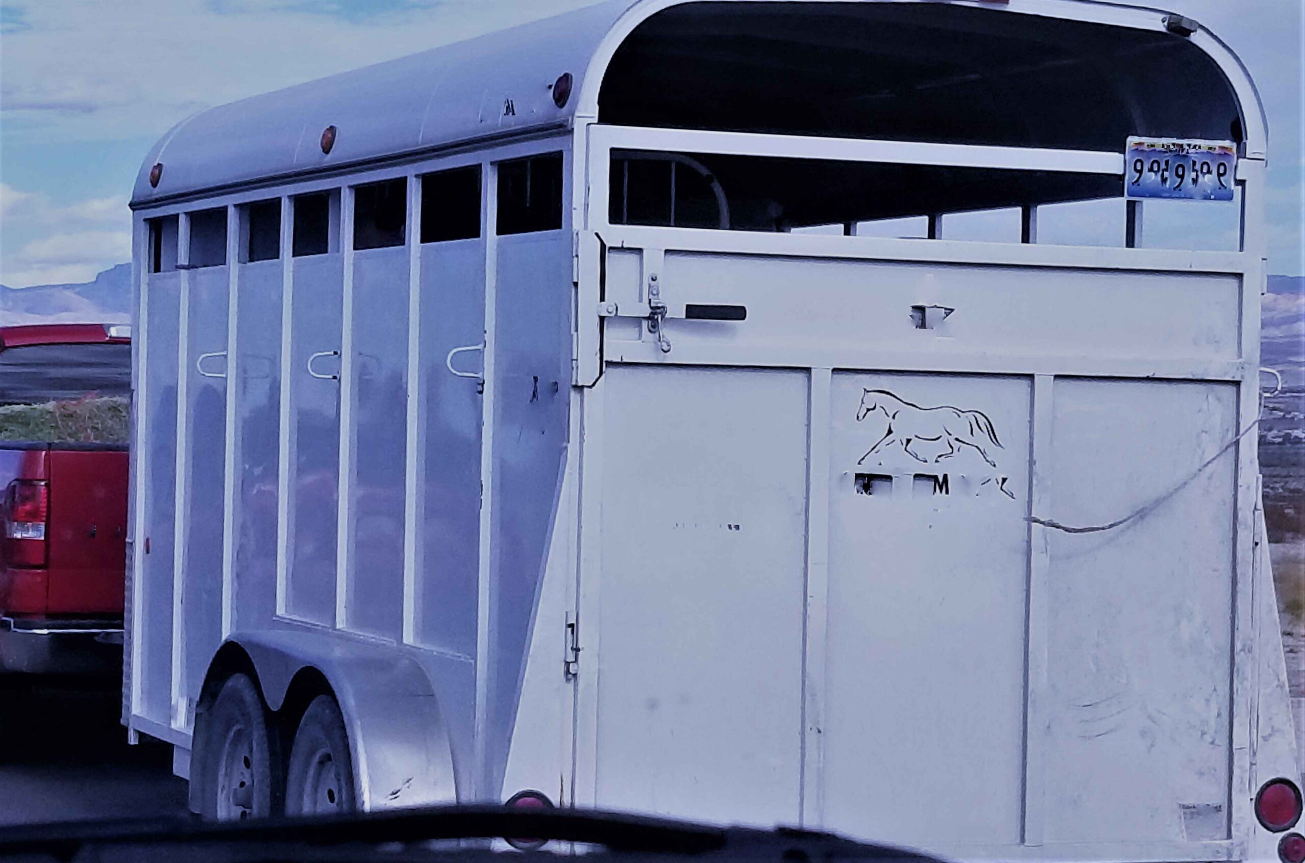 Animal Transport | Pet Relocation Services in Pakistan