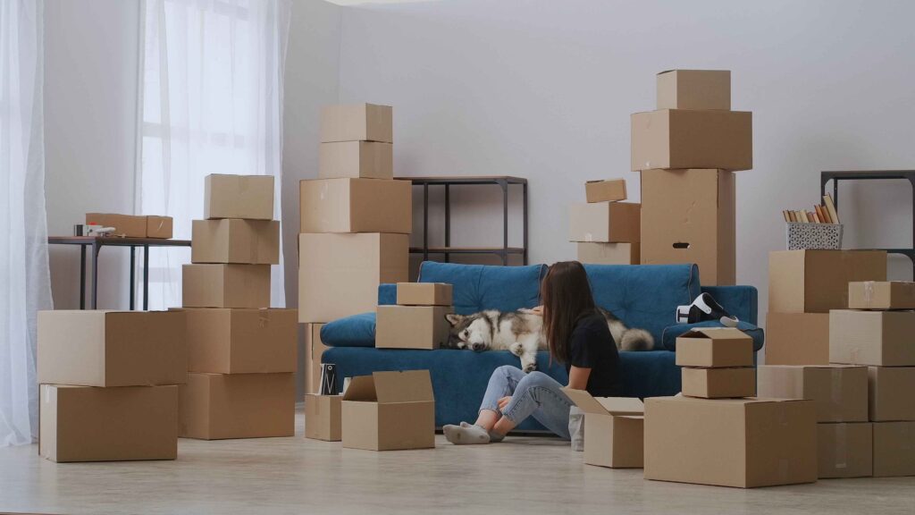 Furniture Moving Services in Pakistan