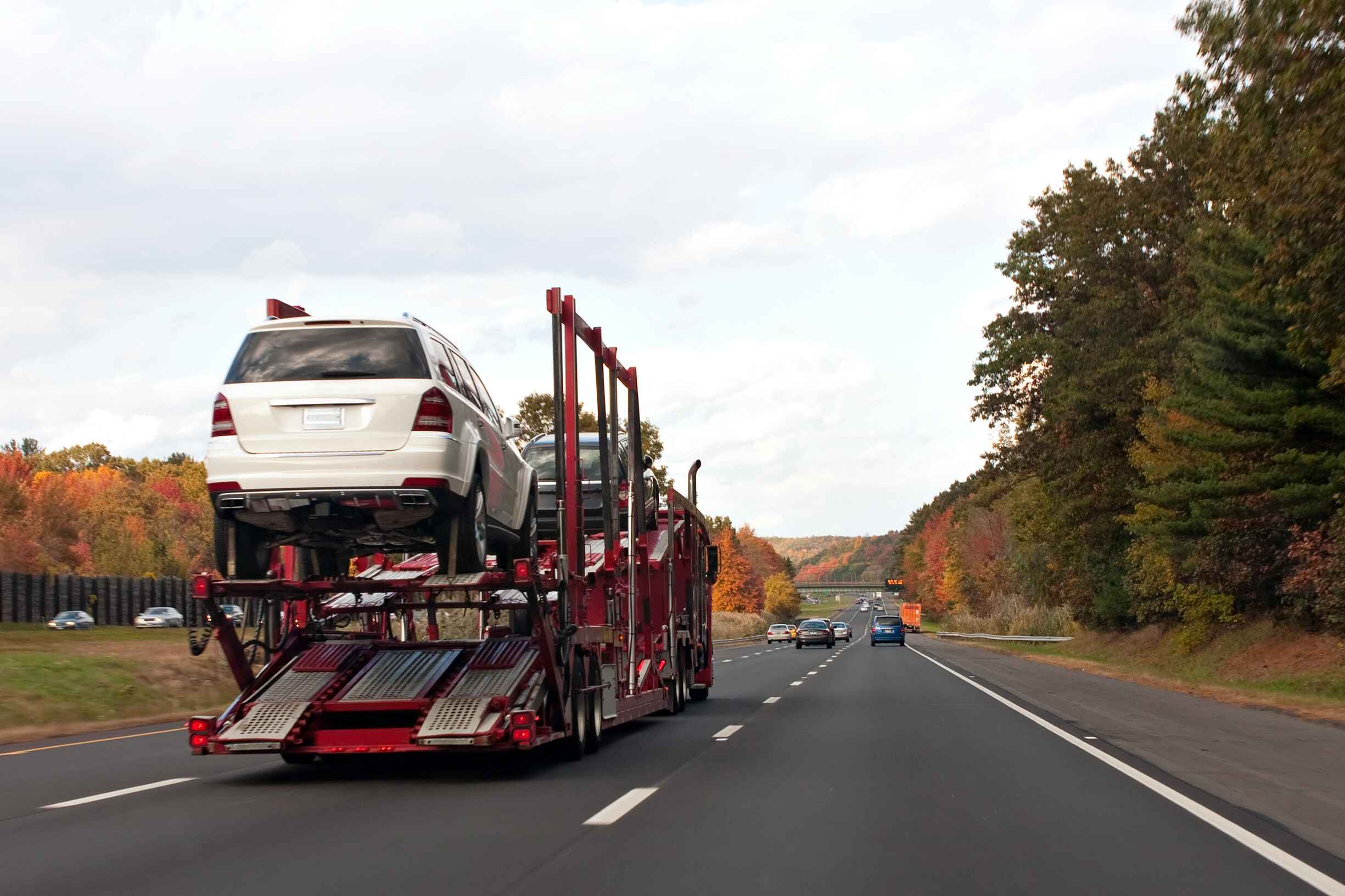Packers and Movers,